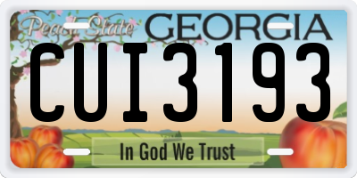 GA license plate CUI3193
