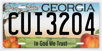 GA license plate CUI3204