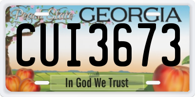 GA license plate CUI3673