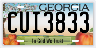GA license plate CUI3833
