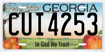 GA license plate CUI4253