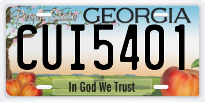 GA license plate CUI5401