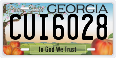 GA license plate CUI6028