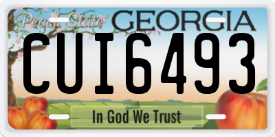 GA license plate CUI6493