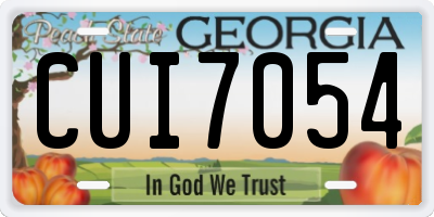GA license plate CUI7054