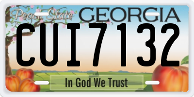 GA license plate CUI7132
