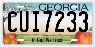 GA license plate CUI7233