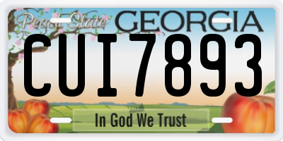 GA license plate CUI7893