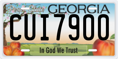 GA license plate CUI7900