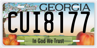 GA license plate CUI8177
