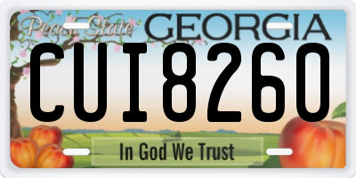 GA license plate CUI8260