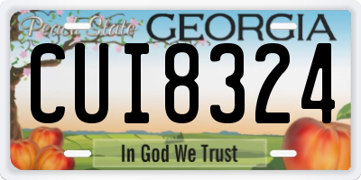 GA license plate CUI8324