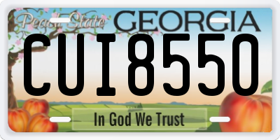 GA license plate CUI8550