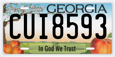 GA license plate CUI8593