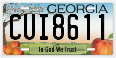 GA license plate CUI8611