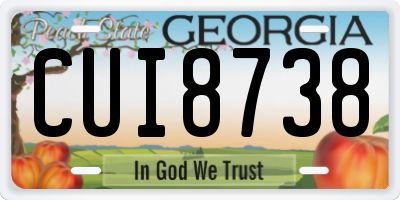 GA license plate CUI8738