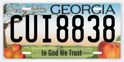 GA license plate CUI8838