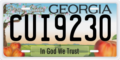 GA license plate CUI9230