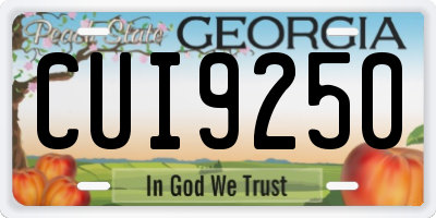 GA license plate CUI9250