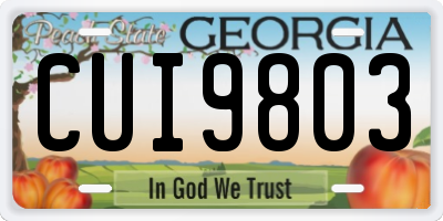 GA license plate CUI9803