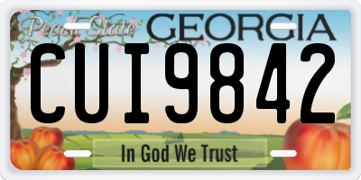 GA license plate CUI9842