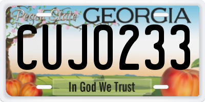 GA license plate CUJ0233
