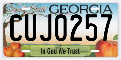 GA license plate CUJ0257