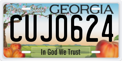 GA license plate CUJ0624