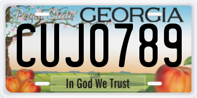 GA license plate CUJ0789