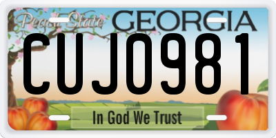 GA license plate CUJ0981