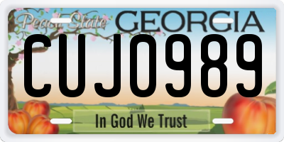 GA license plate CUJ0989
