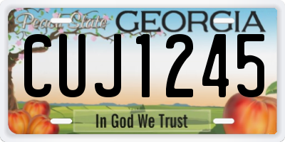 GA license plate CUJ1245
