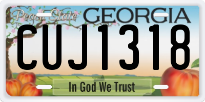 GA license plate CUJ1318