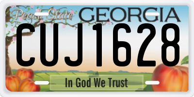 GA license plate CUJ1628