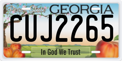 GA license plate CUJ2265