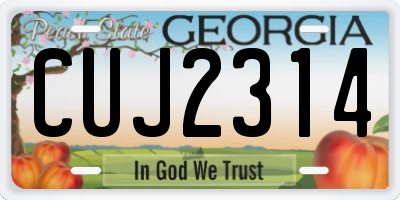 GA license plate CUJ2314