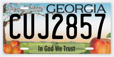 GA license plate CUJ2857