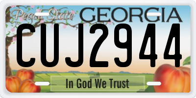 GA license plate CUJ2944
