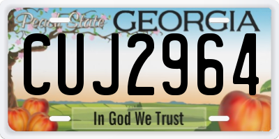GA license plate CUJ2964