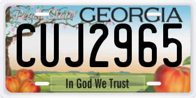 GA license plate CUJ2965
