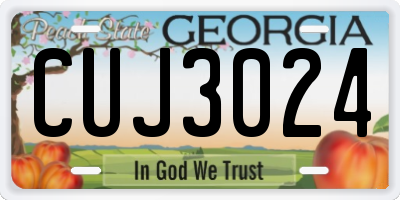 GA license plate CUJ3024