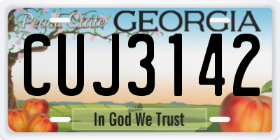 GA license plate CUJ3142