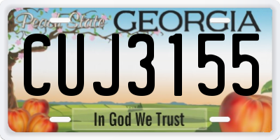 GA license plate CUJ3155
