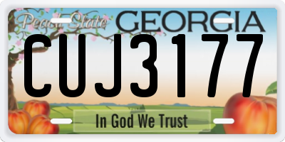 GA license plate CUJ3177