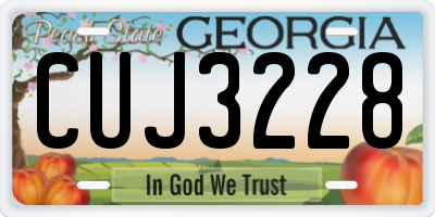 GA license plate CUJ3228