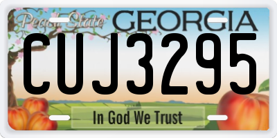 GA license plate CUJ3295