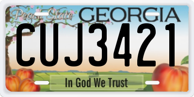 GA license plate CUJ3421