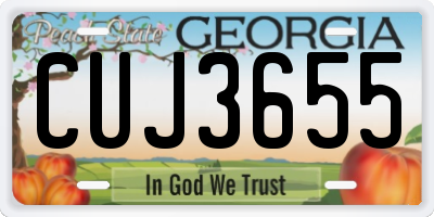 GA license plate CUJ3655