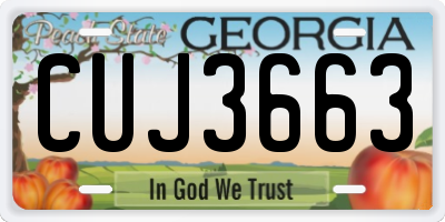 GA license plate CUJ3663