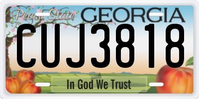 GA license plate CUJ3818